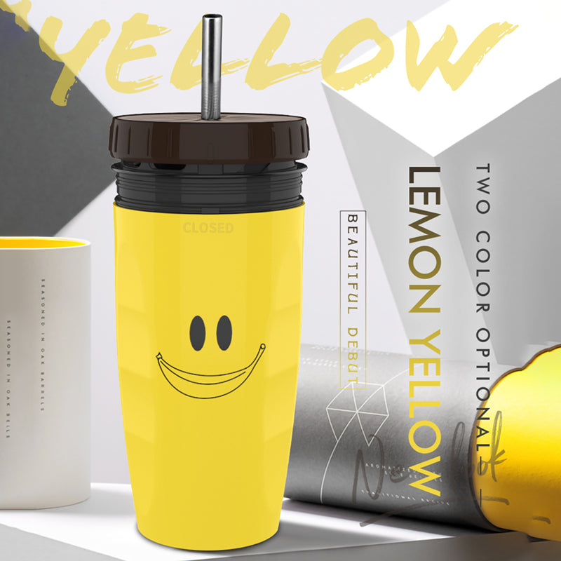 Portable Double-Insulated Tumbler with Straw – Travel Sippy Cup
